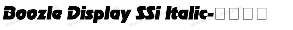 Boozle Display SSi Italic字体转换